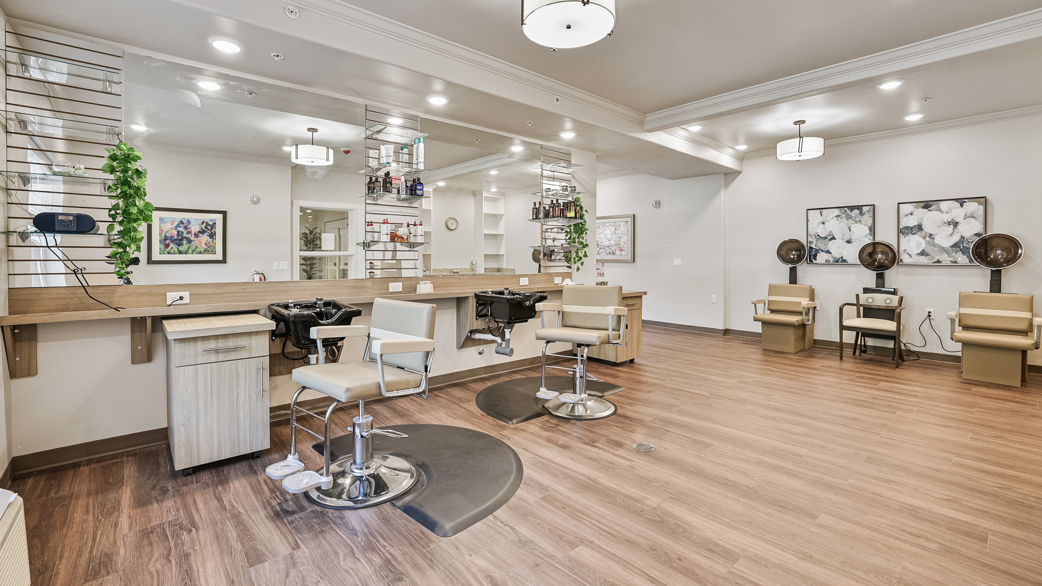 Sycamore Ridge - Salon