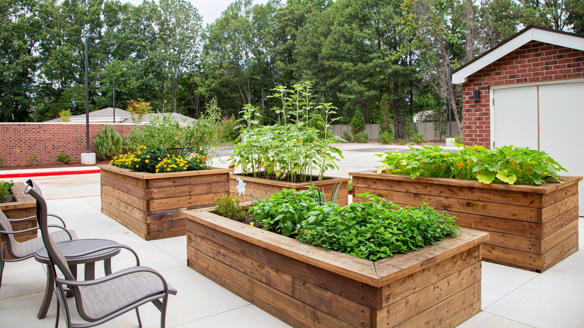 Sycamore Ridge garden